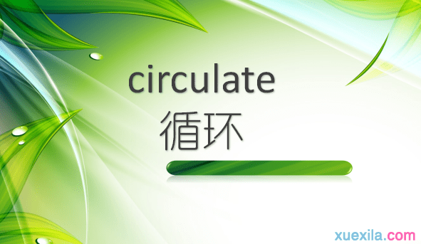 circulateʲô˼